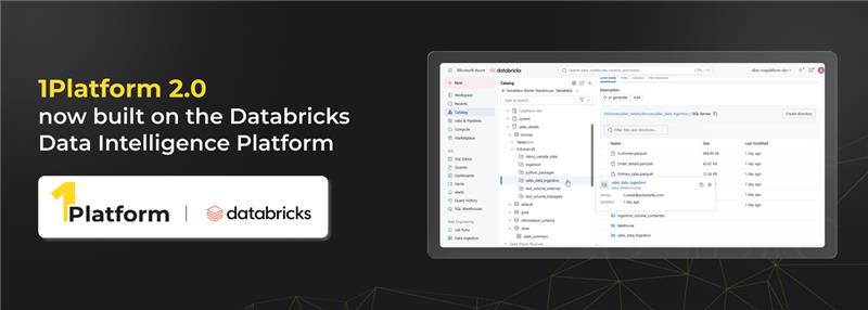  Databricks Data Intelligence Platform